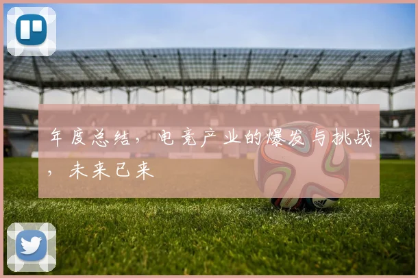 年度总结,电竞产业的爆发与挑战,未来已来