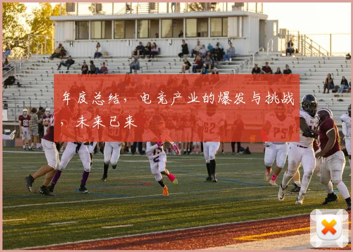 年度总结，电竞产业的爆发与挑战，未来已来